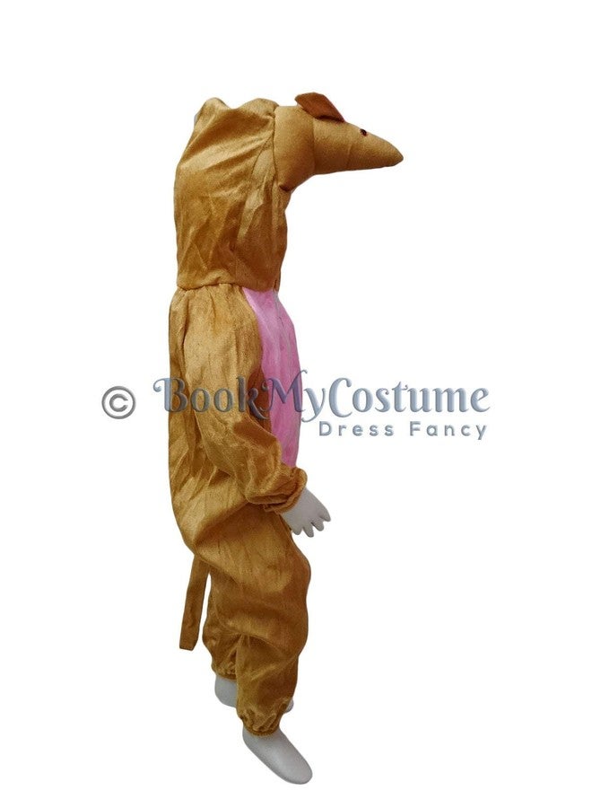 BookMyCostume Mouse Animal Kids Fancy Dress Costume 6-7 years - Image 4